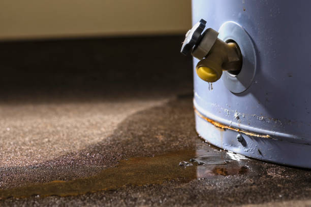 Best Flooded house restoration  in Enterprise, NV