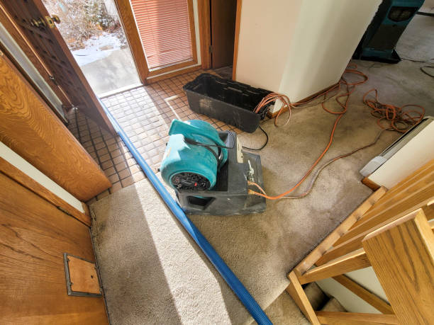 Best Water damage restoration near me  in Enterprise, NV