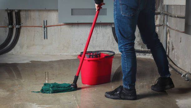 Best Local water damage restoration  in Enterprise, NV
