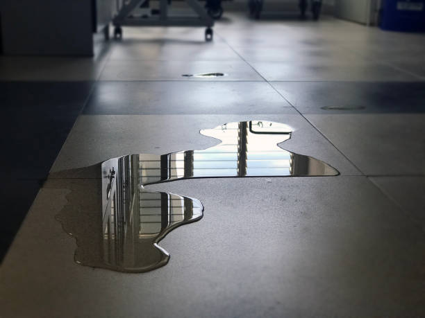 Best Professional water damage repair  in Enterprise, NV