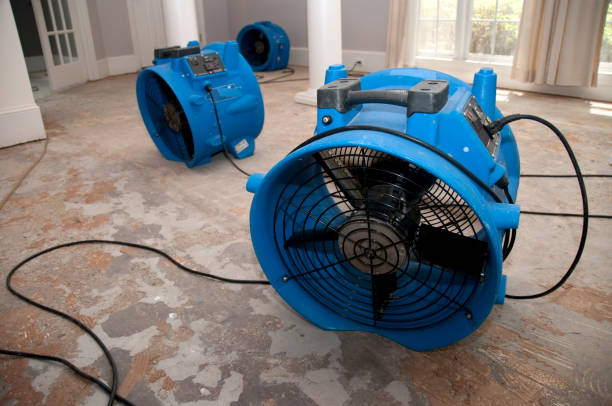 Best Basement water damage restoration  in Enterprise, NV