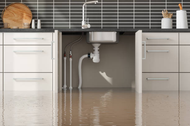 Best Water damage cleanup near me  in Enterprise, NV