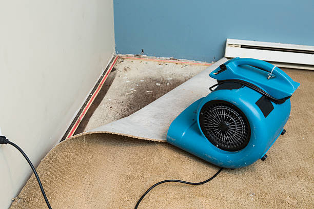 Best Flood damage cleanup  in Enterprise, NV